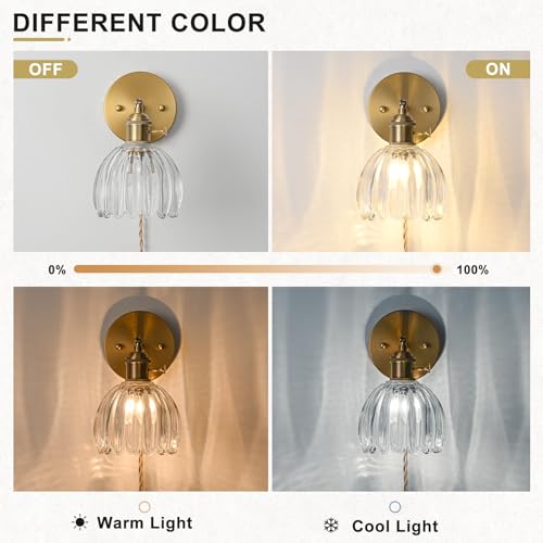 Plug in Wall Sconce