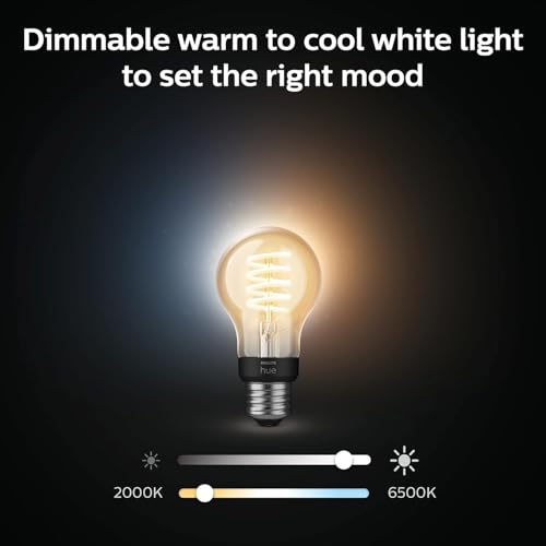 Smart 40W A19 Filament LED Bulb (4 Count)