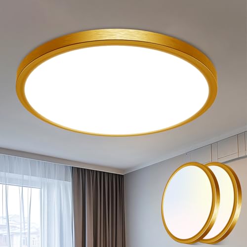 16Inch Flush Mount LED Ceiling Light Fixture (2 Count)