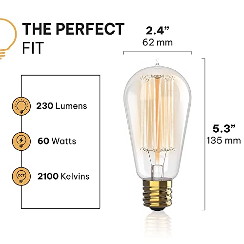 Vintage Incandescent Edison Light Bulbs 60W (4 Count)