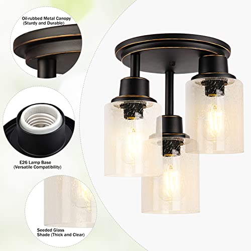Semi Flush Mount Ceiling Light