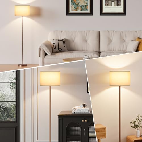 60'' Modern Floor Lamp with Shade