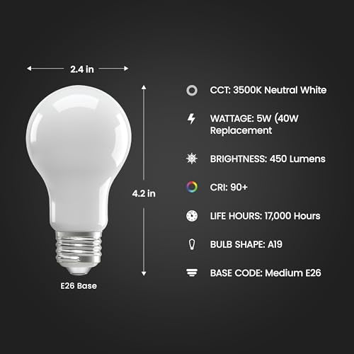 A19 LED Light Bulb (4 Count)