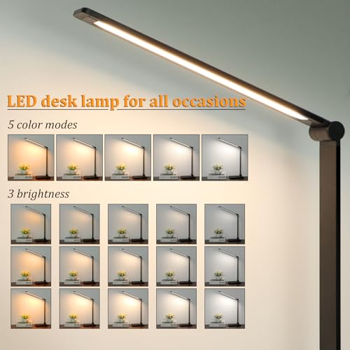 LED Desk Lamp with USB Ports