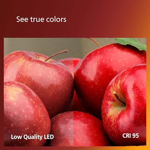 75W ST19 8 Pack Vintage Edison Spiral Soft White (8 Count)