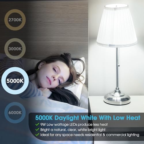 A19 LED Light Bulb (12 Count)