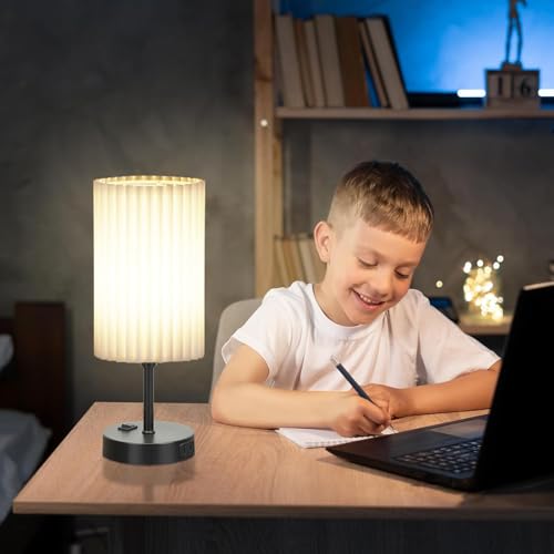 Small Lamp Shades Set of 2 (2 Count)
