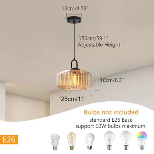 Glass Globe Pendant Light fixtures 1