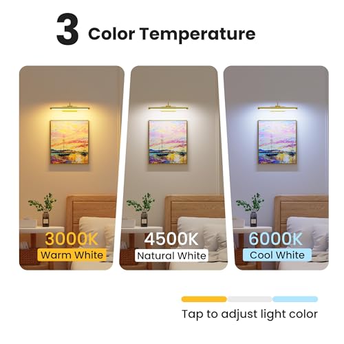 16" Light for Wall Picture with 6000mAh Battery