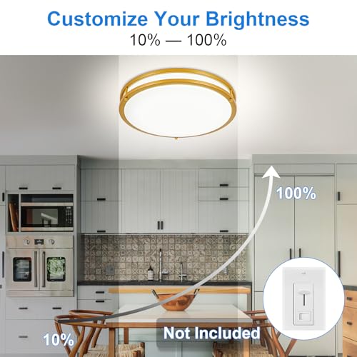 DLLT Flush Mount LED Ceiling Light