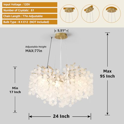24" Capiz Shell Chandelier 8