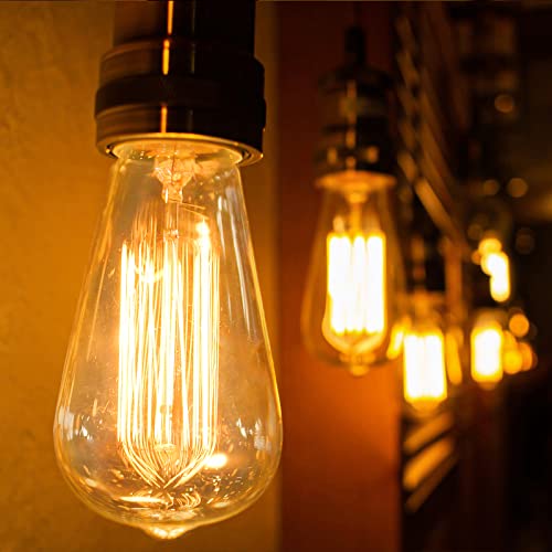 60 Watt Incandescent Edison Light Bulbs (4 Count)