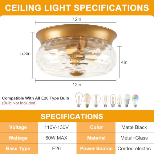 Gold Flush Mount Ceiling Light Fixtures (Gold-Clear Hammered Glass(No Assembly Required))