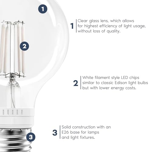Vintage G25 LED Light Bulb 60 Watt Equivalent (4 Count)