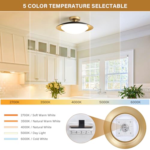 Dimmable Modern Mid