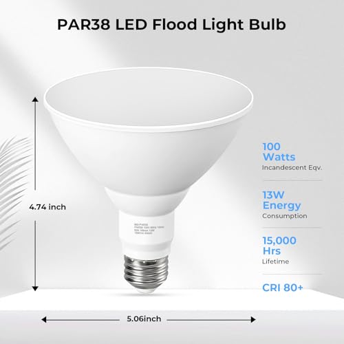 LED Flood Light Bulbs (6 Count)