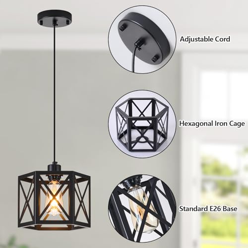 2 Pack Farmhouse Pendant Lights (2 Count)