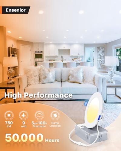 12 Pack 4 Inch LED Recessed Ceiling Light (12 Count)