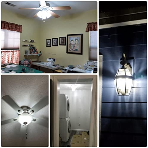 E12 C7 10W 6000K LED Candelabra Bulbs 100w Equivalent (5 Count)
