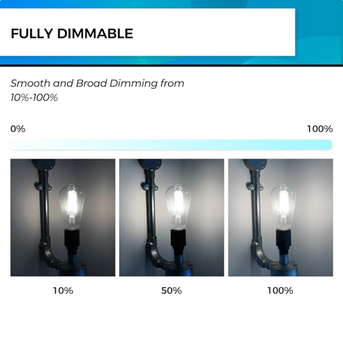 Edison Bulbs Dimmable (12 Count)