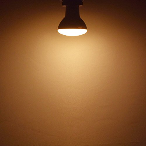 BR20 LED Light Bulb