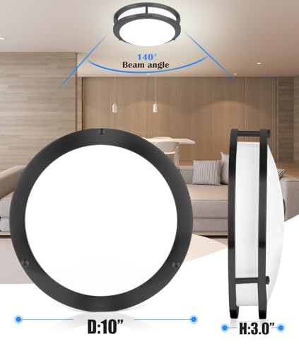 10” Matt Black Ceiling Light Fixture