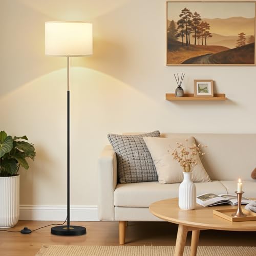 60'' Modern Floor Lamp with Shade