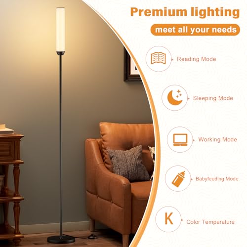 LED Floor Lamp with Remote Control