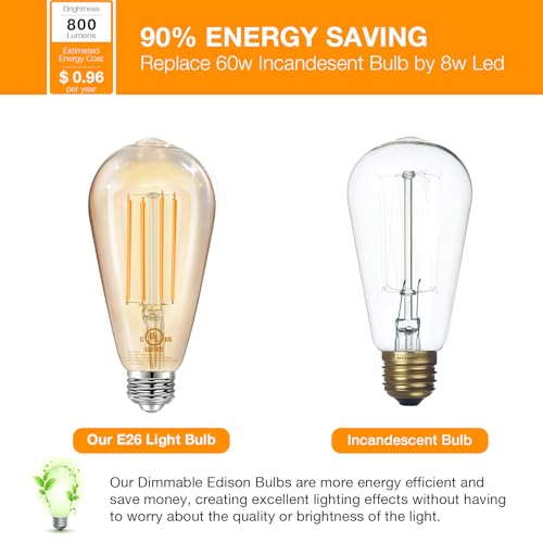 4 Pack Vintage LED Edison Bulbs (4 Count)