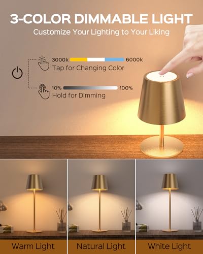 Cordless Table Lamps Rechargeable