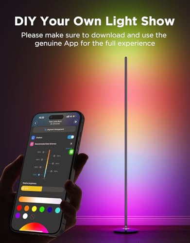 RGBIC Floor Lamp Basic