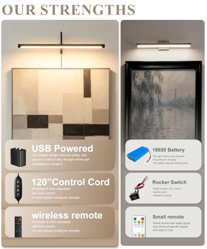 Plug in Picture Light for Wall (Black / 24 Inch)