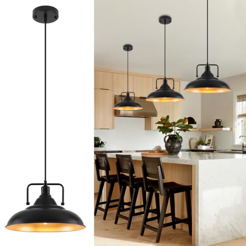Black Pendant Light