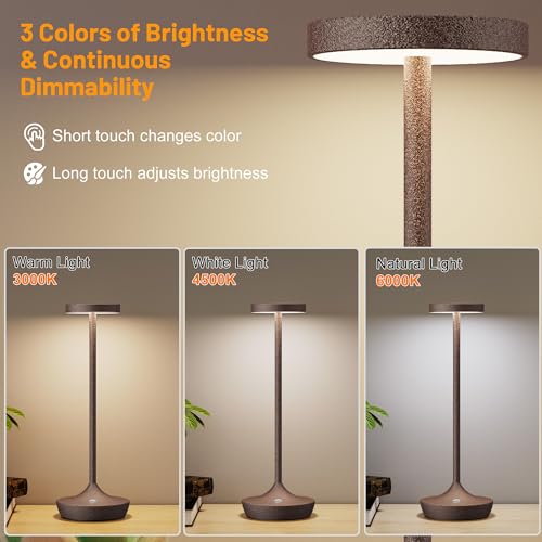 2 Pack Cordless Table Lamps