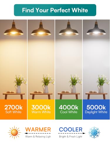 Dimmable LED Light Bulbs 40W Eq (6 Count)