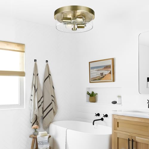 Flush Mount Ceiling Light Fixtures