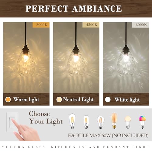 Black Pendant Lights Kitchen Island 2 Pack (2 Count)