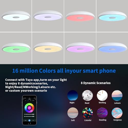 Smart Waterproof LED Flush Mount Ceiling Light Fixture