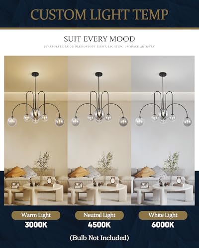 Black Sputnik Chandelier