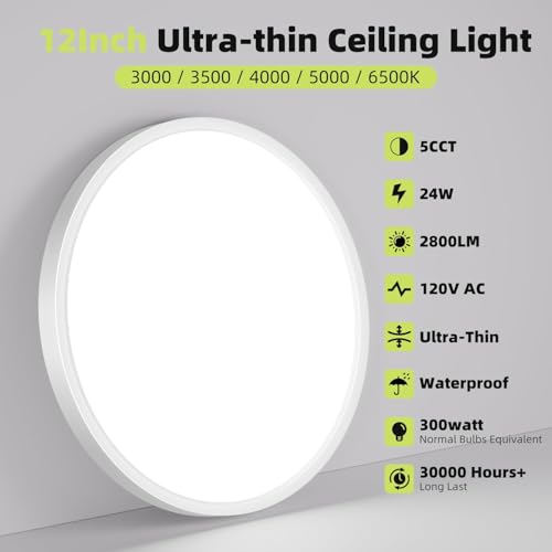 2Pack 12Inch LED Flush Mount Ceiling Light Fixture 5CCT 24W 2800LM Closet Light Fixture