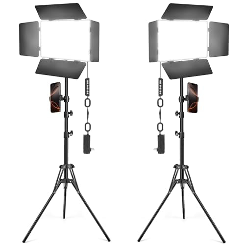 2 Pack LED Video Light Kit with Barn Door (2 Count)