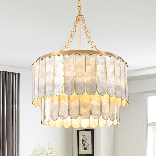 Modern 5 Light Shell Chandelier