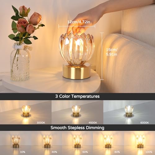 Cordless Small Table Lamp with 5200mAh Battery & Touch Control