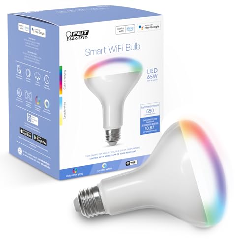 BR30 Smart Flood Light Bulb