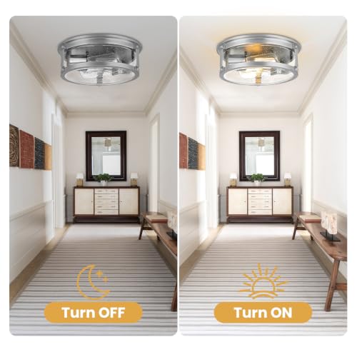 2 Light Brushed Nickel Flush Mount Ceiling Light Fixtures (Brushed Nickel)