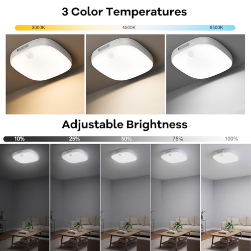 Shower Light IP65 Waterproof