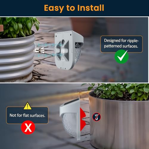 Solar Outdoor Garden Lights (4 Count)