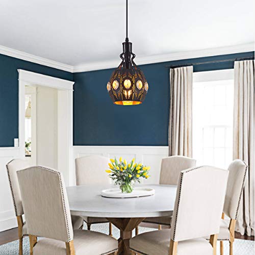 Hanging Lamp Swag Lights Plug in Pendant Light