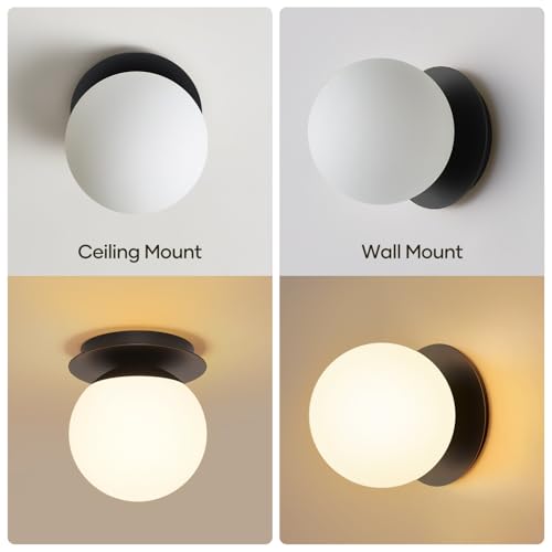 1 Pack Matte Black Wall Sconce