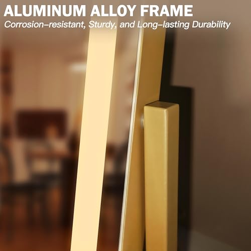 Vanity Mirror with Lights